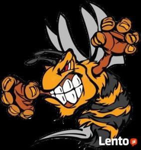 6405f5_likwidacja-usuwanie-gniazd-os-pszczol-i-szerszeni-zdjecia